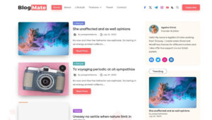 Theme blogmate wordpress