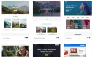 Astra Starter Templates Premium